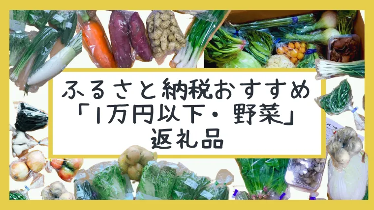 ふるさと納税で個人的おすすめ「1万円以下・野菜」返礼品